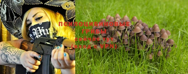 хмурый Осташков