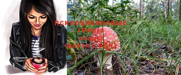 не бодяженный Осинники