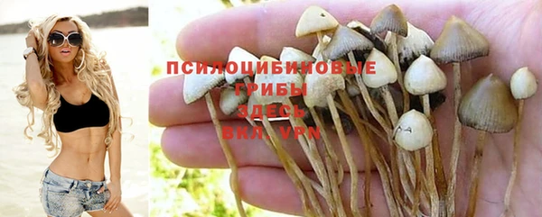 хмурый Осташков